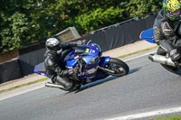 Lower Group Blue Bikes